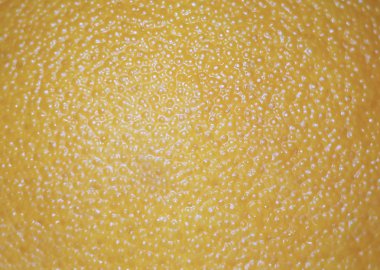 Sarı greyfurt kabuğu lezzet dokusu