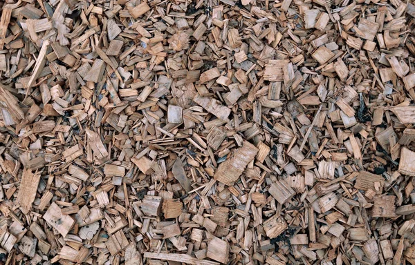 Background of painted wood chips on the soil — Stock Photo, Image