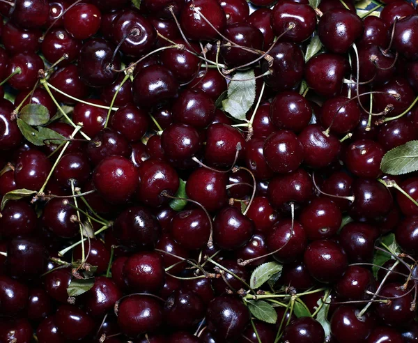 Kırmızı Olgun Kiraz meyveleri — Stok fotoğraf