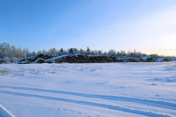 Récolte de grumes dans une forêt en Russie — Photo