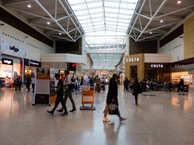 Festival yer, Basingstoke