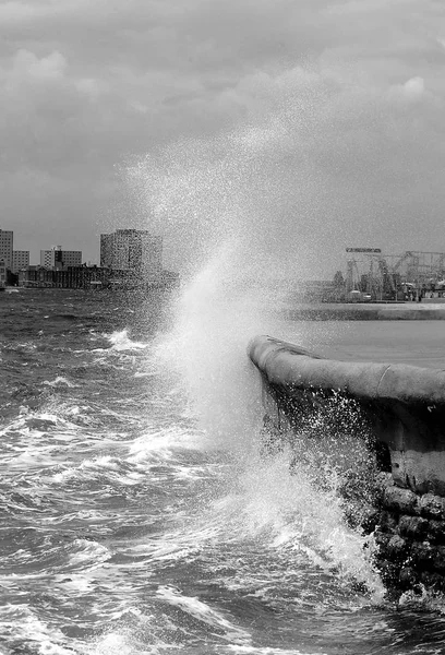 Breaking Waves BW — Stock Photo, Image