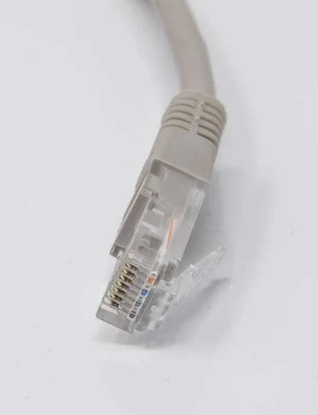 RJ45 CAT5 cable — Stock Photo, Image