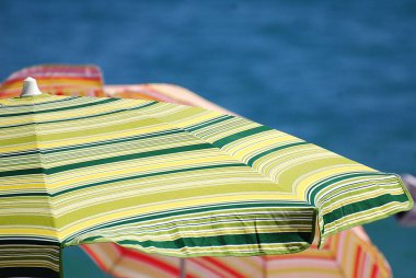 Yeşil ve sarı çizgili güneş ahbap