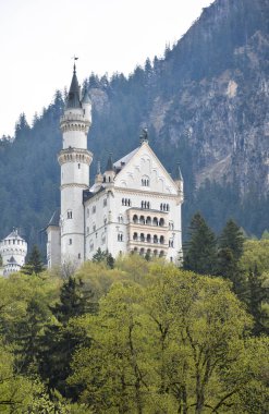 Neuschwanstein Şatosu