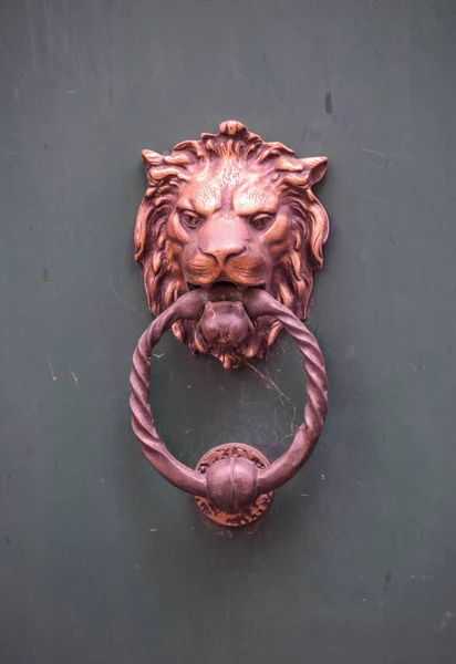 Copper lion knocker — Stock Photo, Image
