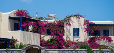 Bougainvillea ile kaplanmış.