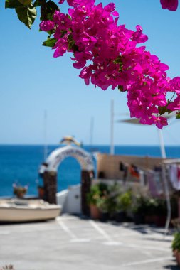 Akrotiri, Yunanistan - 19 Temmuz 2019: Mor pembe Bougainvillea 'nın bir kolu Akrotiri kasabasındaki Dolphins Bar' ı kaplıyor