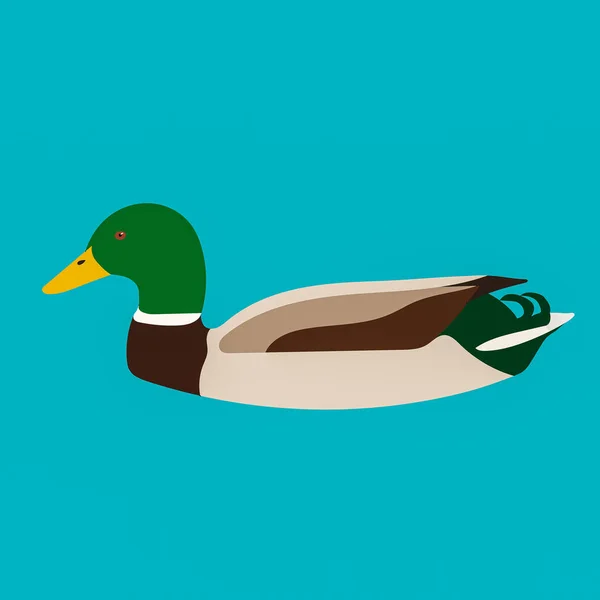 Een Grafische Illustratie Van Mallard Duck Voor Gebruik Als Logo — Stockfoto