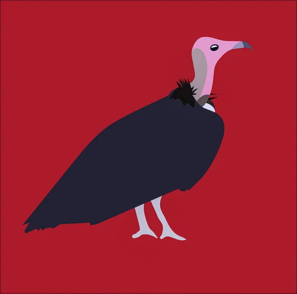 Graphic Illustration African Hooded Vulture Use Logo Icon — Stock Photo, Image