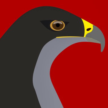 Logo veya simge olarak kullanılan bir Şili Mavi Kartalı grafiksel çizimi