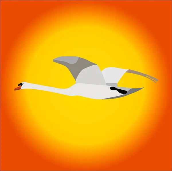 Graphic Illustration Flying Mute Swan Use Logo Icon — Stock Photo, Image