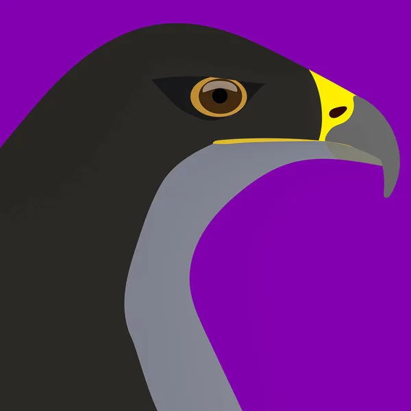 Eine Grafische Illustration Eines Chilenischen Blauen Adlers Zur Verwendung Als — Stockfoto