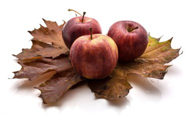 İzole Apple Gala