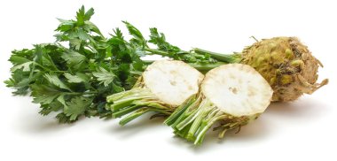 Fresh celery isolated clipart