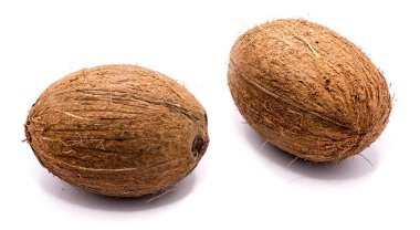 taze hindistan cevizi izole