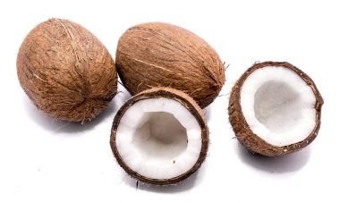 taze hindistan cevizi izole