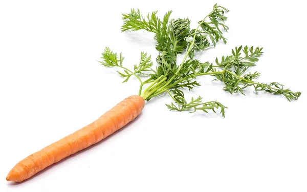 Морква свіжа ізольовані — стокове фото
