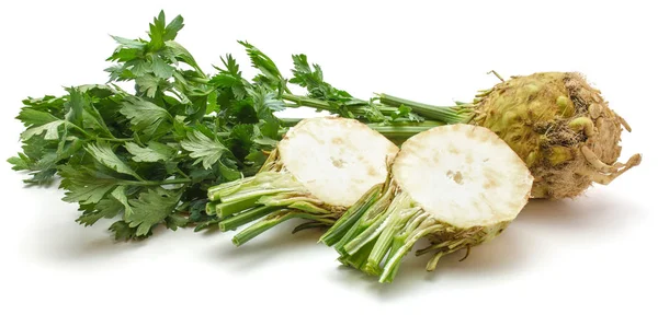 Fresh celery isolated — Stock Photo, Image