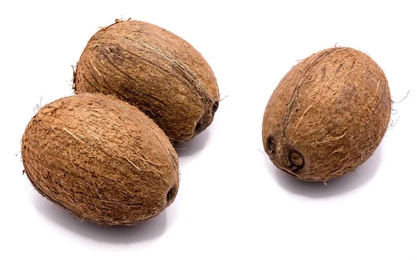 Čerstvý kokos, samostatný — Stock fotografie