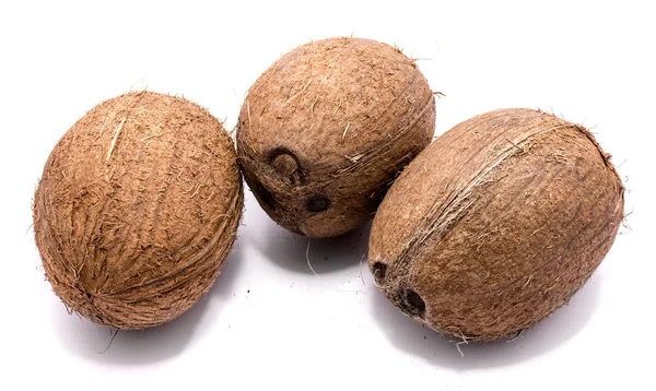 孤立的新鲜椰子 — 图库照片