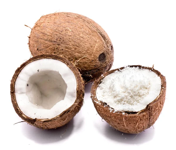 Verse kokosnoot geïsoleerd — Stockfoto