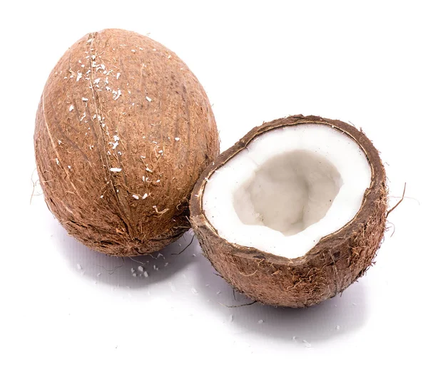 Verse kokosnoot geïsoleerd — Stockfoto