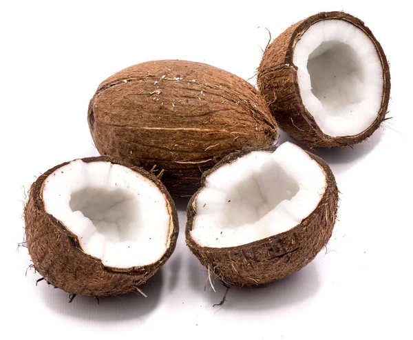 Čerstvý kokos, samostatný — Stock fotografie