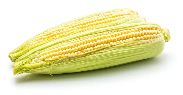 Fresh corn isolated