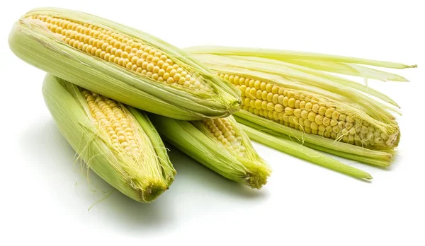 新鲜玉米分离 — 图库照片