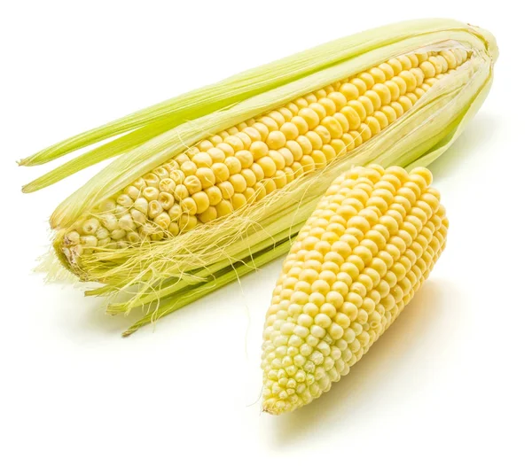 Färsk majs isolerade — Stockfoto