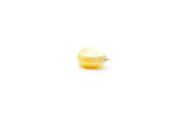 分離された新鮮なトウモロコシ — ストック写真