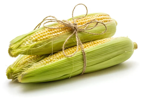 Friss kukorica elszigetelt — Stock Fotó