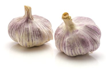 Common Garlic isolated clipart