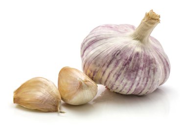 Ortak sarımsak izole