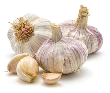 Ortak sarımsak izole