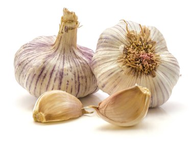 Ortak sarımsak izole