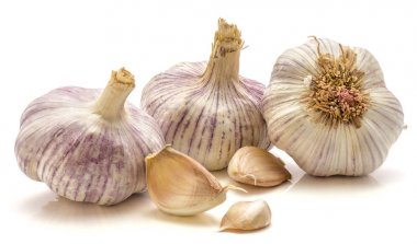 Common Garlic isolated clipart