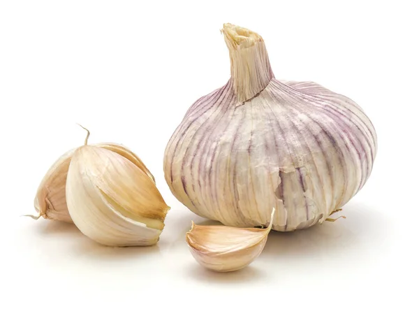 Common Garlic isolated — Stock Photo, Image