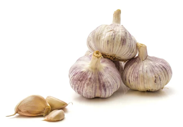 Knoblauch isoliert — Stockfoto