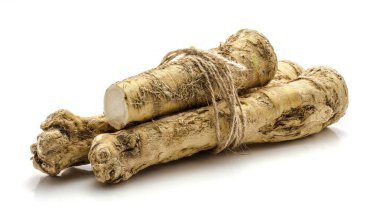 İzole horseradish kök