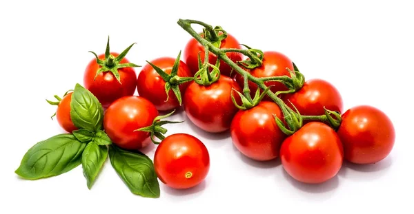 Tomate cereza aislado —  Fotos de Stock