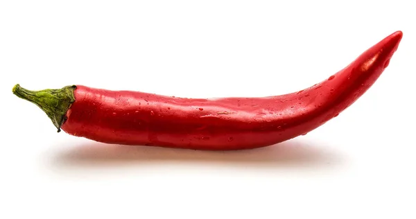 Hot Chili peper — Stockfoto