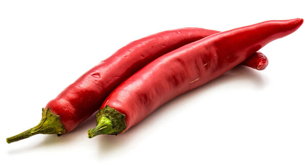 Hot Chilli pepper