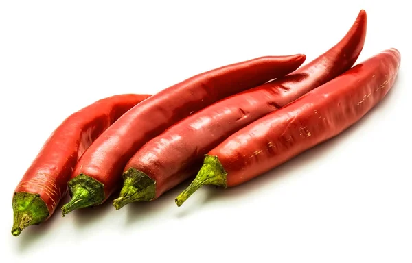 Hot Chilli pepper — Stock Photo, Image