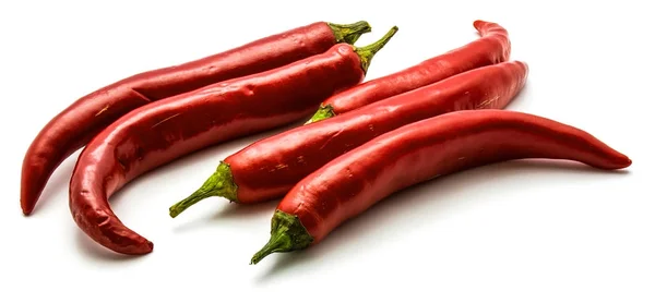 Hot Chilli pepper — Stock Photo, Image