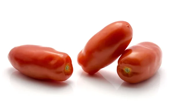 San Marzano domates izole