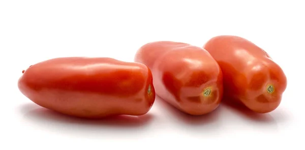 Tomate San Marzano aislado —  Fotos de Stock