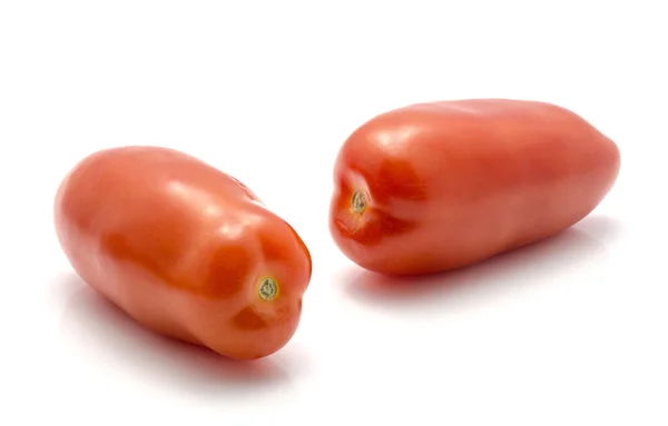 San Marzano Tomate isolado — Fotografia de Stock