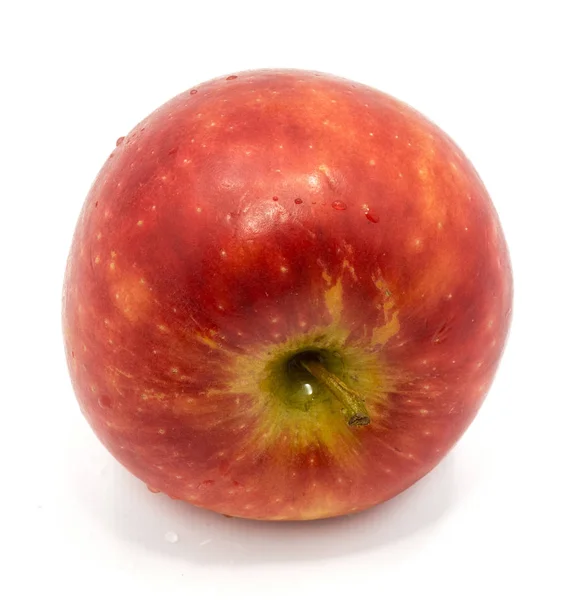 Kanzi Apple na białym tle — Zdjęcie stockowe